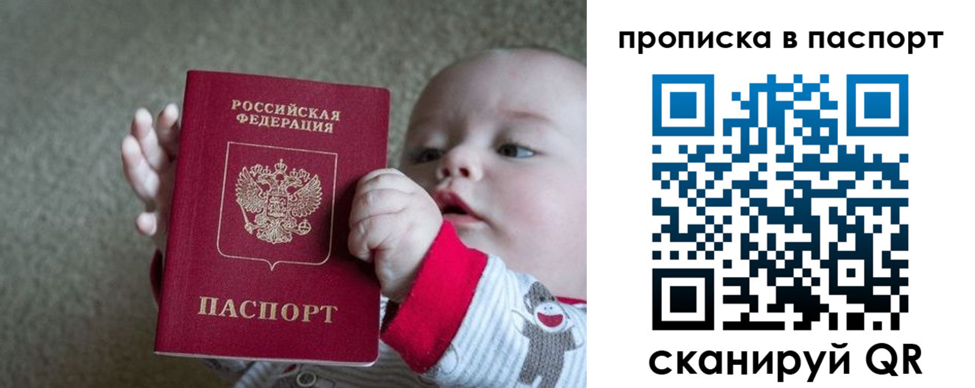 прописка регистрация в Жукове